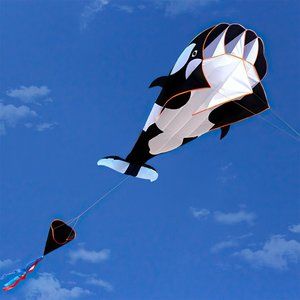 3D Kite Huge Frameless Soft Parafoil Giant Blue Dolphin Breeze Kite